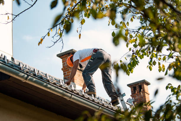 Best Storm Damage Roof Repair  in West Elmira, NY